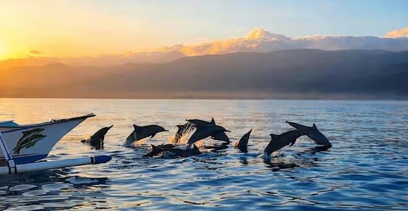 Lovina: Dolphin Watching Tour with Stunning Sunrise Views