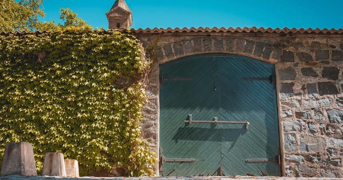 Cerros de San Juan Private Wine Tour mit Transport und Mittagessen