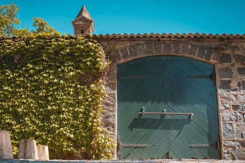 Visite du vignoble Cerros de San Juan avec transport et déjeuner