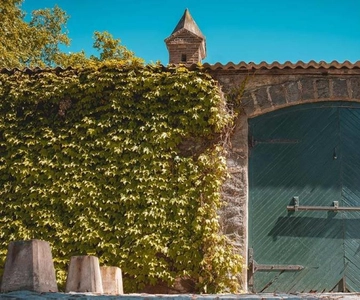 Cerros de San Juan: tour particular de vinhos com transporte e almoço