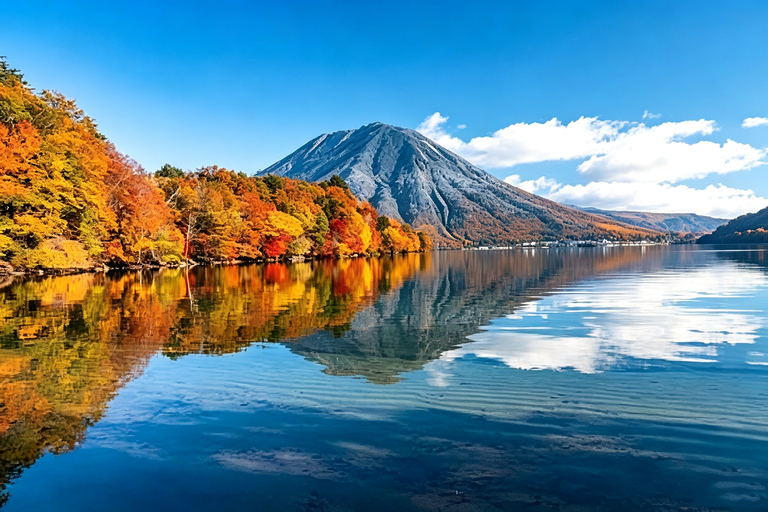 Nikko Small Group: Hotel Pickup, Kegon Falls & Toshogu Private Sightseeing Tours