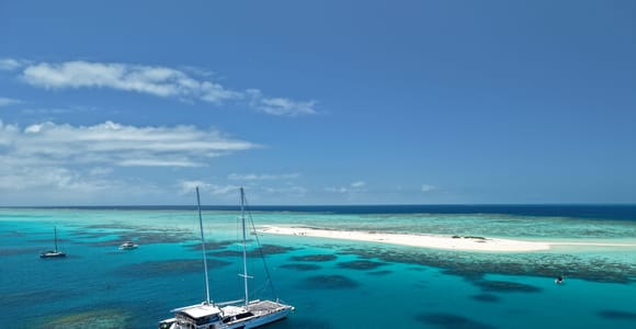 Cairns: Michaelmas Cay & Great Barrier Reef Full-Day Snorkel