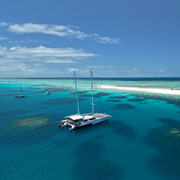 Cairns: Michaelmas Cay & Great Barrier Reef Full-Day Snorkel