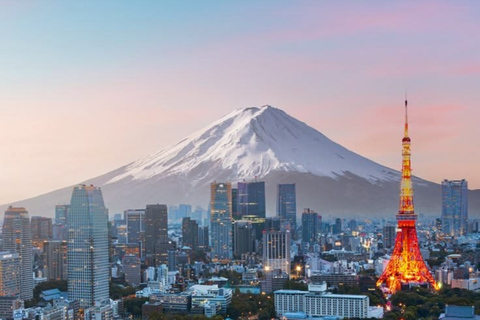 Tokyo Full Day Private Sightseeing Tour with English Driver
