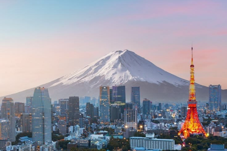 Tokyo Full Day Private Sightseeing Tour with English Driver