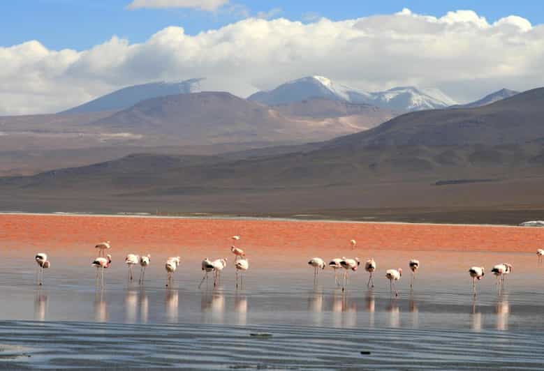 Galería de fotos para redes