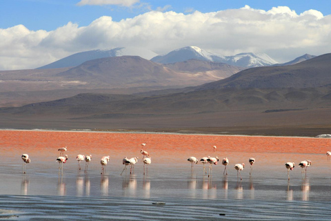 From Uyuni: Laguna Colorada and Salar de Uyuni 3-Day + MealsSpanish Tour (Option 1)