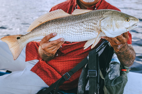 Corpus Christi: Motorized Kayak Rental