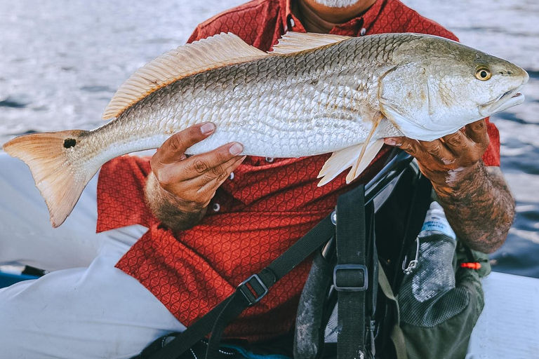 Corpus Christi: Motorized Kayak Rental