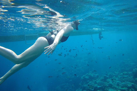 Port Vila: Lelepa Island Day Trip with Snorkeling & BBQ