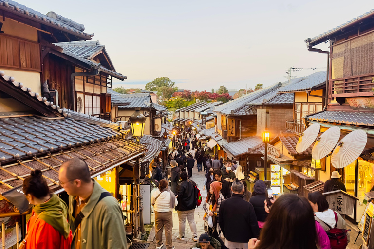 Kyoto Private Day Tour with Luxury Vehicle & English Guide