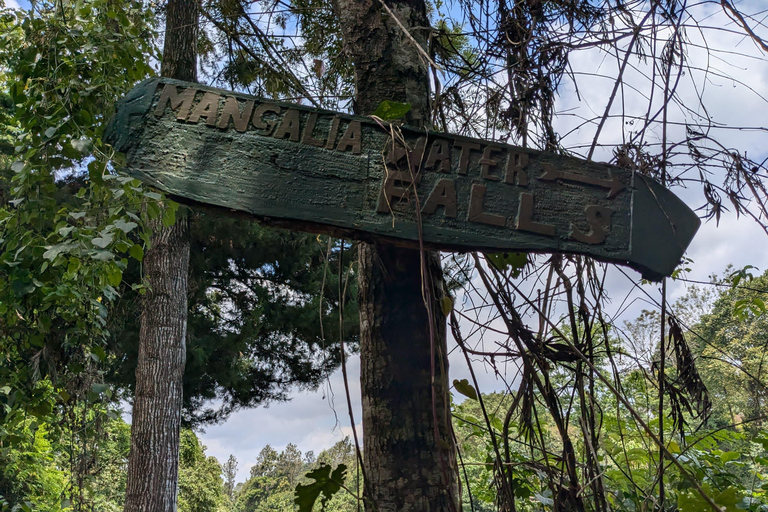 From Arusha: Coffee Farm and Mangalia Waterfalls Tour