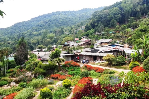 Chiang Mai : Visite d'une demi-journée du Doi Suthep et du village Hmong