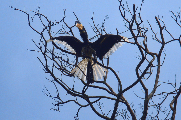 Viagem de Galle/Hikkaduwa/Mirissa para Udawalawe Safari Tour