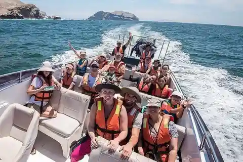 Lima: Excursión a las Islas Palomino y baño con leones marinos