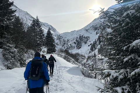 Innsbruck-Stubaital: raquetes de neve nas florestas do TirolNeustift, no vale do Stubai: raquetes de neve nas florestas do Tirol