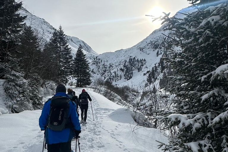 Innsbruck-Stubaital: raquetes de neve nas florestas do TirolNeustift, no vale do Stubai: raquetes de neve nas florestas do Tirol