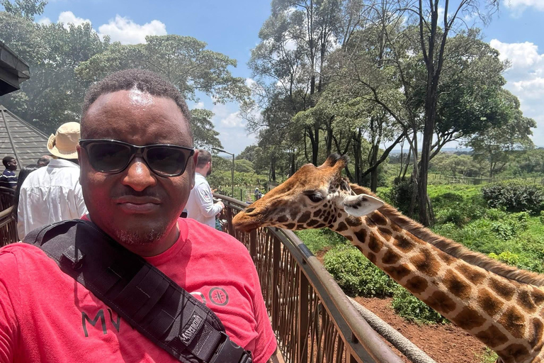 Nairobi: National Park, Giraffe Center, & Elephant Tour