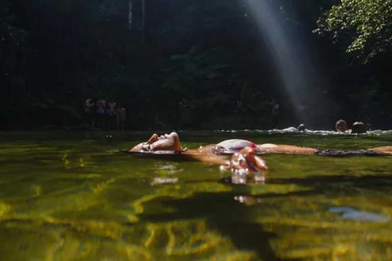 Santos: Waterfall Hike and Boat Ride at the Rain Forest from Sao Paulo: Waterfall Hike and Boat Ride at the R Forest