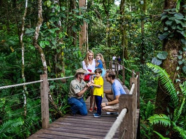 Cairns, Small Group Kuranda Tour via Skyrail and Scenic Rail - Housity