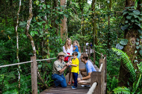 Cairns: Tour en grupo reducido por Kuranda en tren panorámico y Skyrail