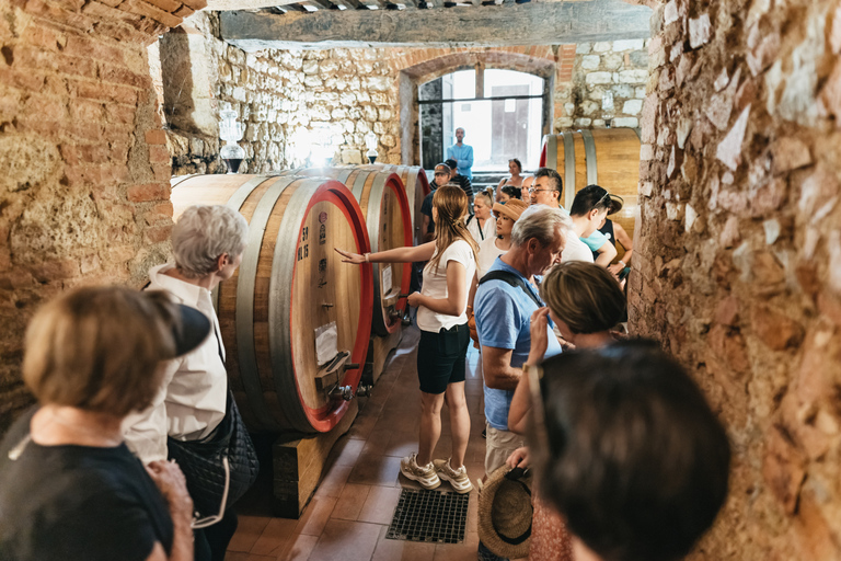 Florence : Sienne, San Gimignano et Chianti en petit groupeJournée complète de visite de la campagne avec déjeuner