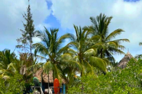Zanzibar: Soulful SUP/kayak adventure in mangrove bay Soulful kayak ~ a peaceful adventure in unique mangrove bay
