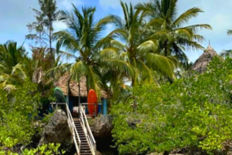 Zanzibar: Soulful SUP/kayak adventure in mangrove bay Soulful kayak ~ a peaceful adventure in unique mangrove bay