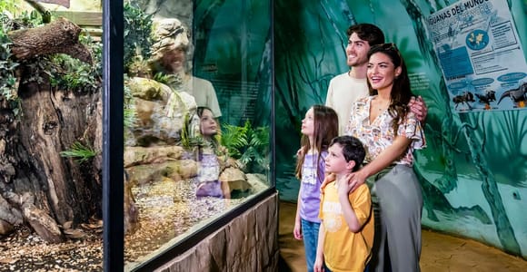 Benalmadena: Selwo Marina Admission Ticket