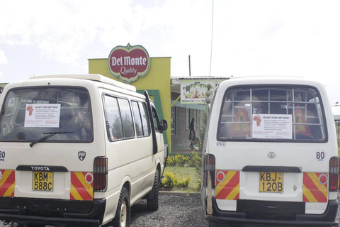 Nairobi: Safari de 3 dias em Samburu, Shaba e Buffalo Springs