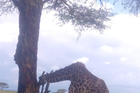 Wycieczka na wyspę Crescent