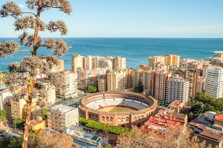 From Madrid: Ronda, White Villages & Seville in 3 Days Round Trip - No Accommodation