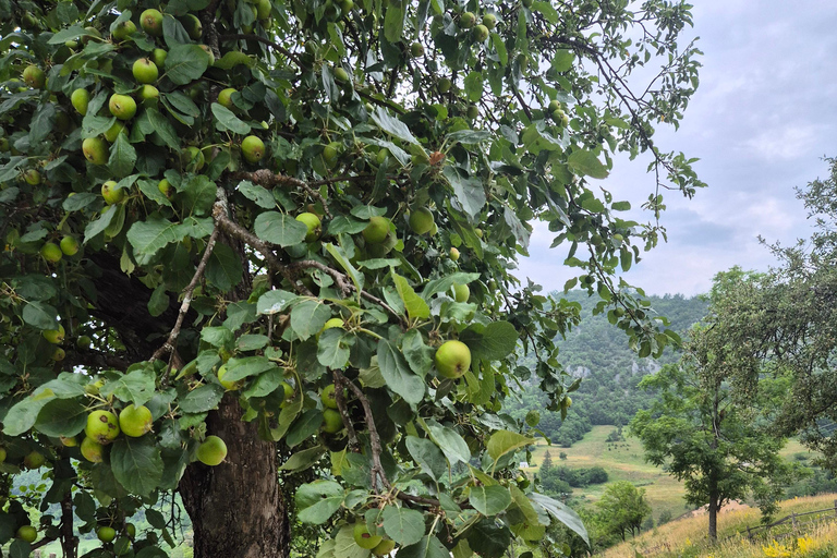 From Belgrade: Rakija-Making Experience with Lunch