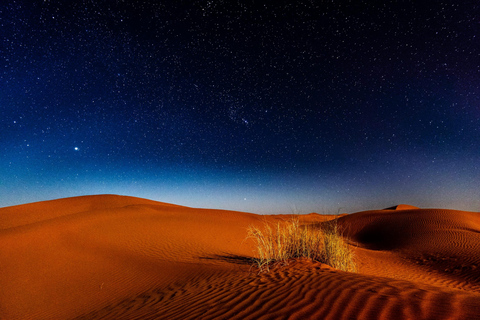 Doha: Safari noturno no deserto/observação das estrelas da galáxia | Tour relaxante