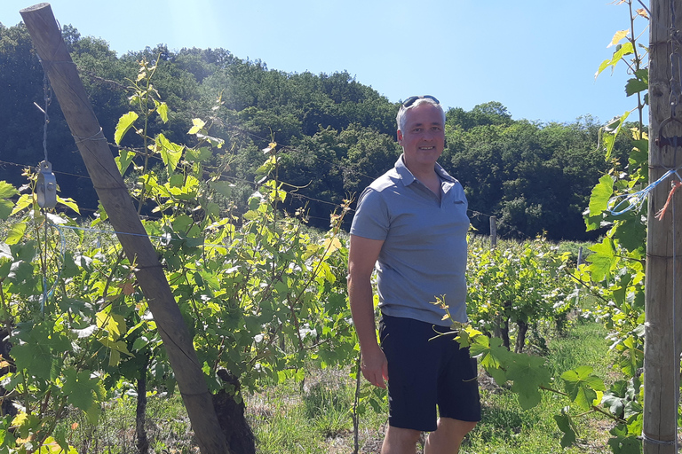 Visite d'une jounée Safari Villages et vignobles Dégustation de vinSafari Tour Villages et vignobles : Journée complète et dégustation de vins