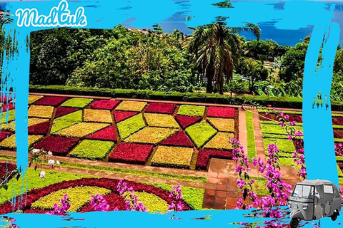 Madeira: Botanical Gardens + Old Town Tuk-Tuk Tour by MadTuk