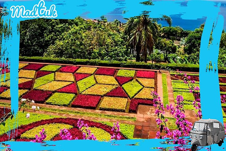Madeira: Botanical Gardens + Old Town Tuk-Tuk Tour by MadTuk