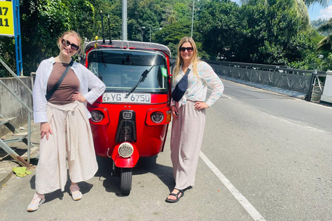 Kandy: Guided City Tour/Temple of the Tooth & Tea Factory