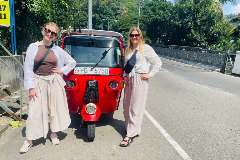 Kandy: Guided City Tour/Temple of the Tooth & Tea Factory