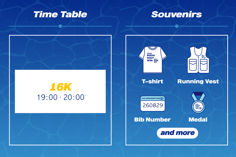 2026 Night Walk: Seoul Han River 14K or Busan Coastline 16K Hangang Night Walk 14K [Slot 2: 20PM]