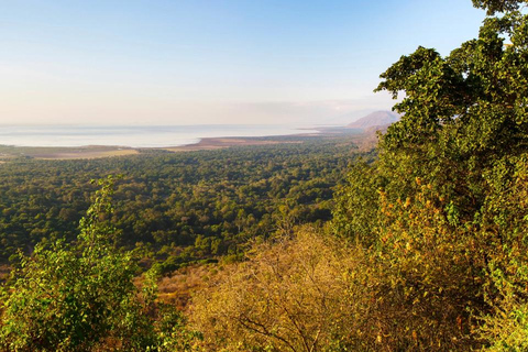 Lake Manyara Day TripPrivate Lake Manyara day trip