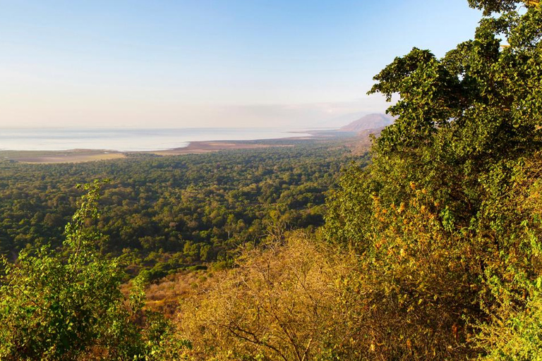 Lake Manyara Day TripPrivate Lake Manyara day trip