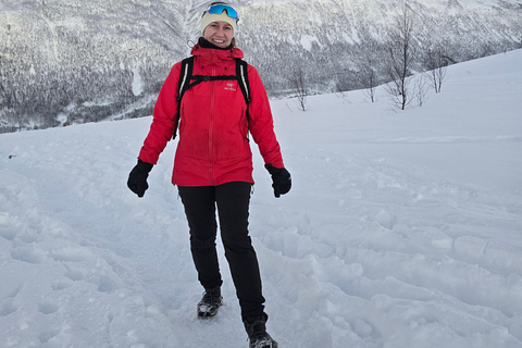 Tromsø: Fjellheisen Local Guided Hike