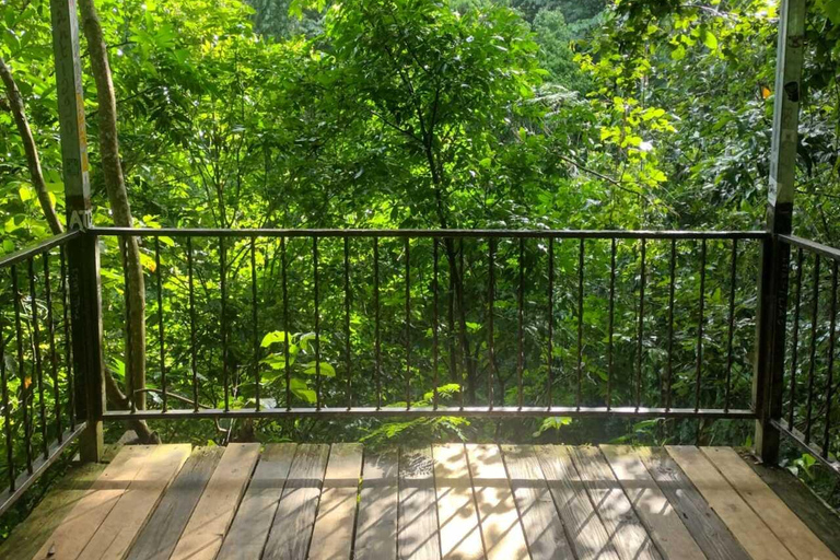 Puerto Rico: Gozalandia River Hiking and Waterfall Tour