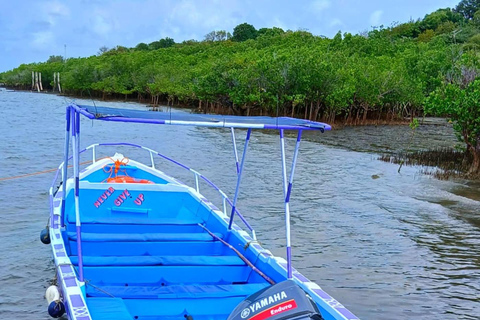 Diani Beach: Wasini Island Dolphin Safari & Snorkeling