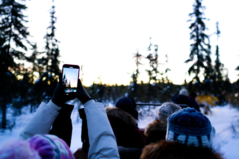 Levi: Winter Wilderness Husky & Reindeer Safari Combo Tour