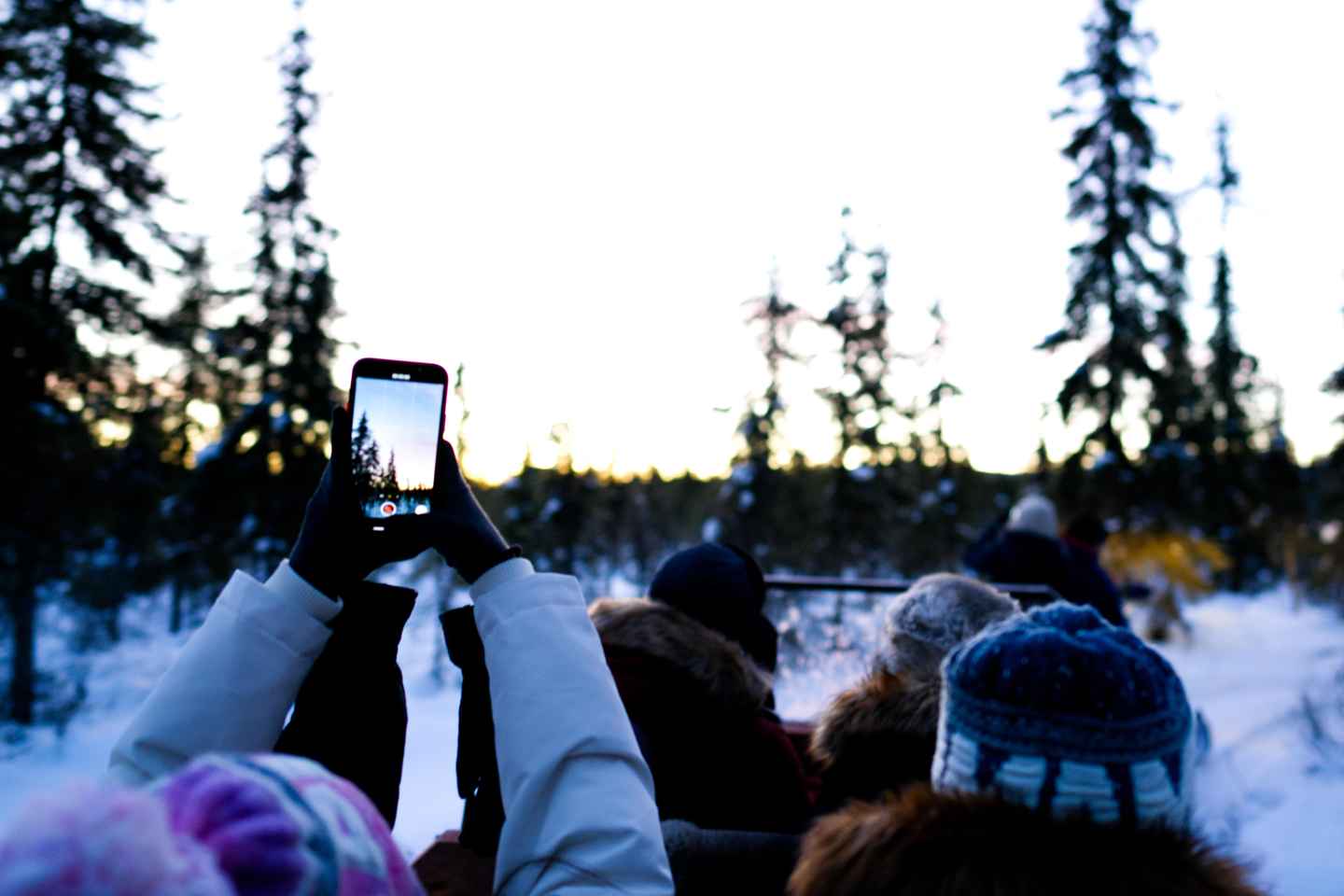 Levi: Winter Wilderness Husky & Reindeer Safari Combo Tour