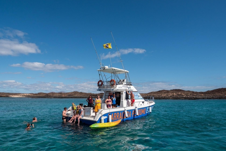 Fuerteventura: Whale and Dolphin Watching Boat Tour