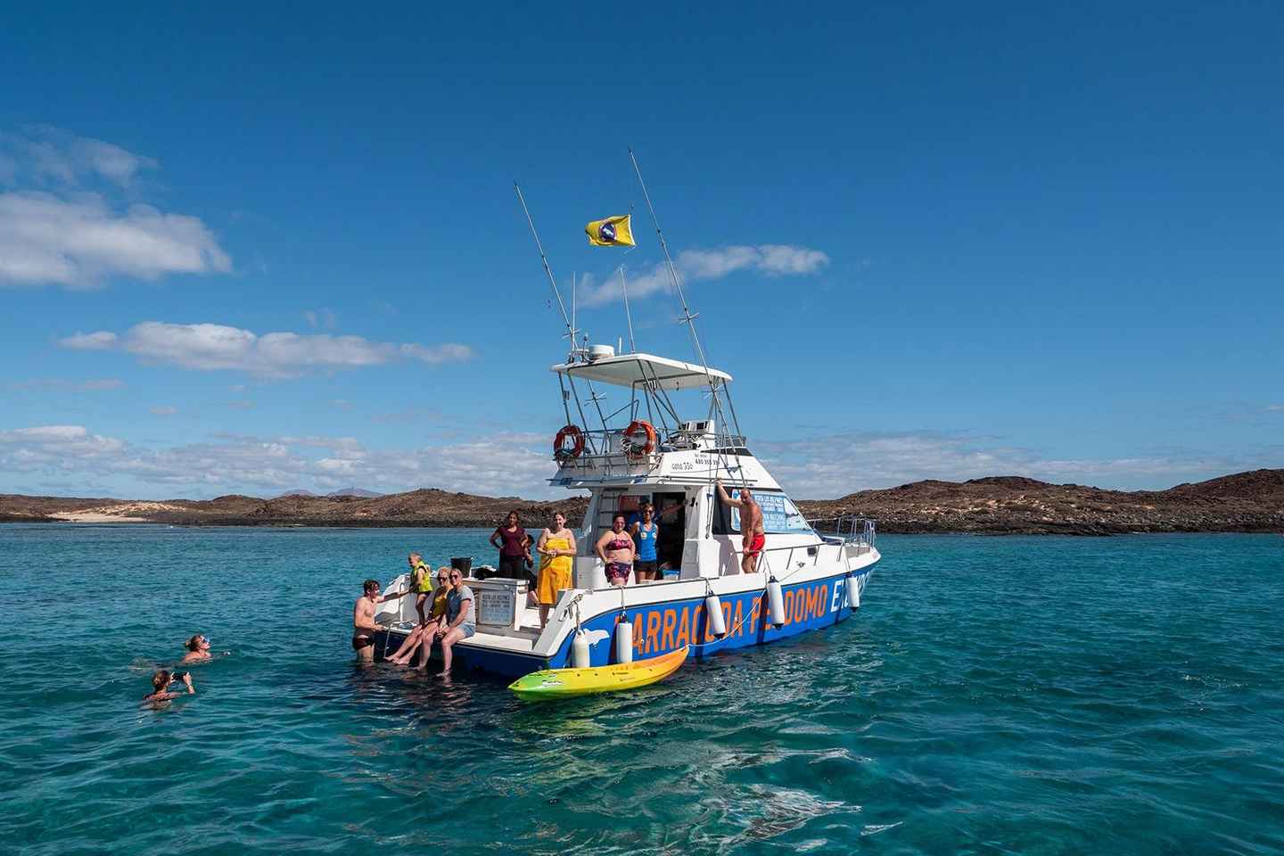 Fuerteventura: Tour en Barco para Avistamiento de Ballenas y Delfines con Guía