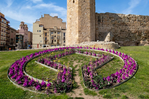 Private Sightseeing Tour of Tarragona with Local Guides
